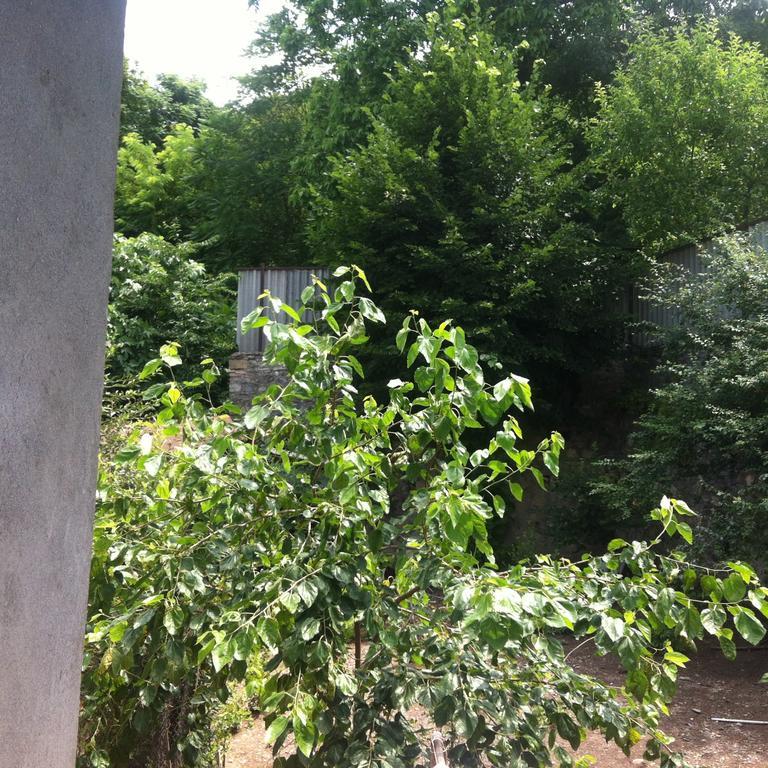 Ilgar'S Hostel เชกี ภายนอก รูปภาพ